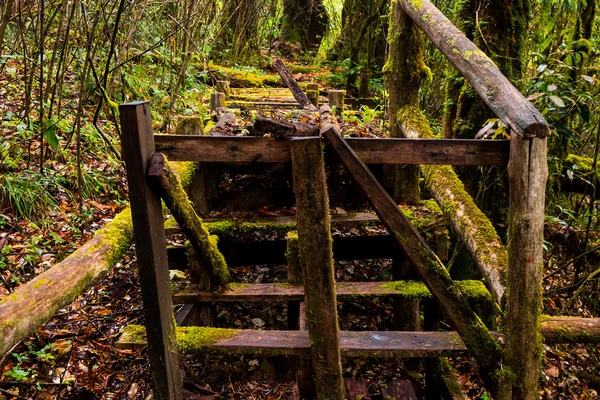 Chemin en bois chemin — Photo