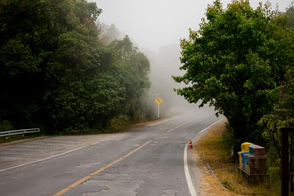 Road into the mist — Stock Photo, Image