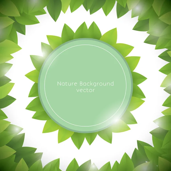 Nature background vector — Stock Vector