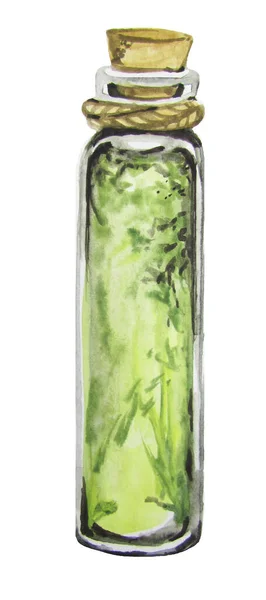 水彩画魔瓶加植物 — 图库照片