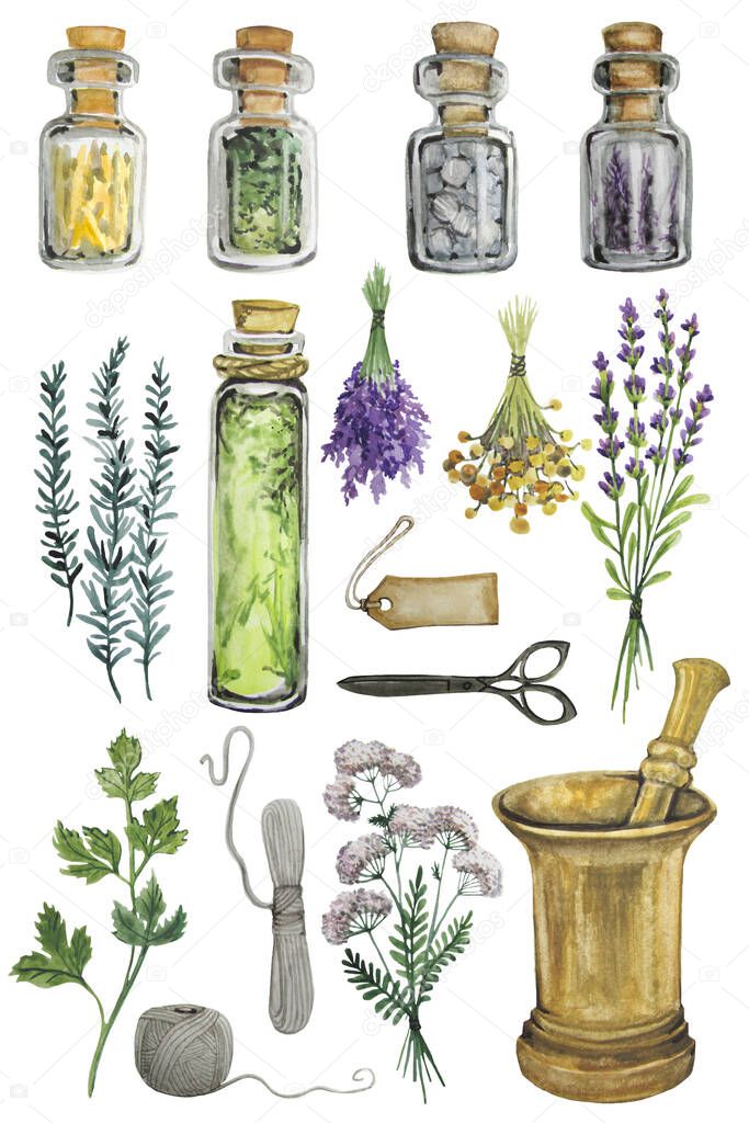 Watercolor drawing magic herbal set