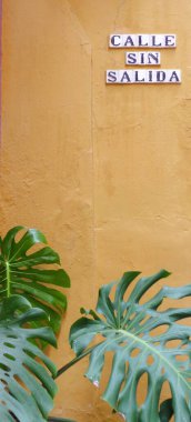 Çıkmaz sokak / günah tükürüğü