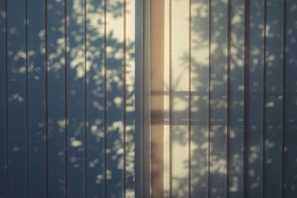 Bäume Schatten auf dem Vorhang — Stockfoto