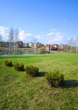 Yeşil çimlerin üzerinde budanmış bir sıra thuja çalısı olan kır manzarası. Arkaplanda huş ağaçları, göletler ve kasaba evleri var..