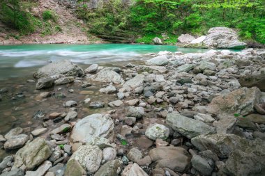 İlkbaharda kenarı kaya, taş ve çakıl taşlarıyla kaplı Khosta dağı. Rusya 'nın Adler ilçesi Sochi' deki Porsuk-Boxwood korusu parkındaki iri derenin temiz yeşil suları..