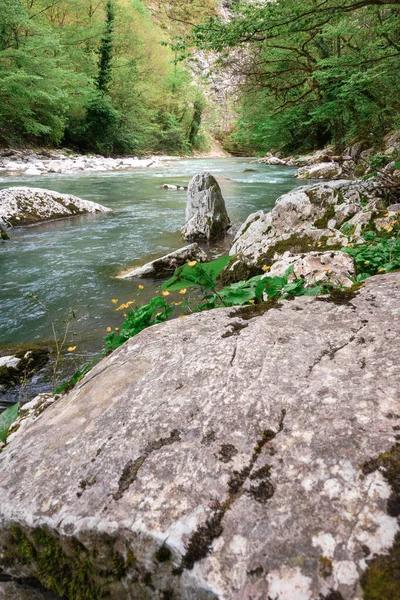 Horská Řeka Chósta Balvany Kameny Oblázky Březích Jaře Čistá Zelená — Stock fotografie