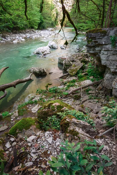Río Montaña Khosta Con Rocas Piedras Guijarros Sus Lados Primavera — Foto de Stock