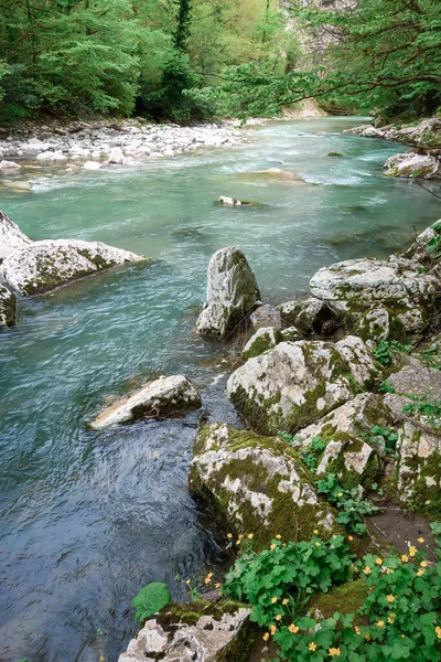 Río Montaña Khosta Con Rocas Piedras Guijarros Sus Lados Primavera — Foto de Stock