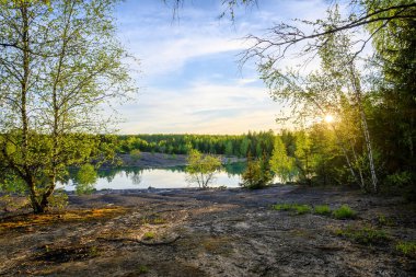İlkbaharda gölde güzel bir günbatımı. Ön planda aşınmış zemin, arka planda huş ağaçları ve çam ağaçları. Güneş renklerini parlak renklerle ayarlıyor.