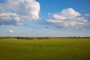 Doğal kırsal alanların manzarası. Mesafeli ağaçlar ve gün batımında gökyüzünde bulutlar. Doğanın güzelliği ve ihtişamı kırsal, açık hava aktiviteleri ve rahatlama.