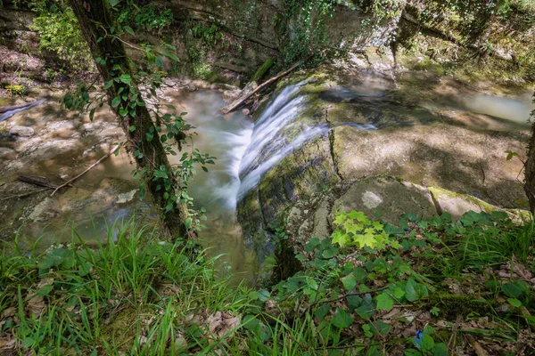 Scénický Pohled Peřeje Vodopádu Mezi Bujnou Zelení Stromy Vzadu Adler — Stock fotografie
