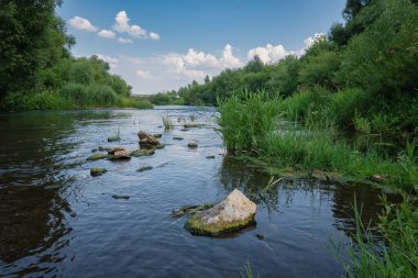 A river with groups of scattered stones running to the horizon. Lush green banks, blue sky with puffy white clouds, water surface with reflection. Generic vegetation, scenic destinations, landscapes.