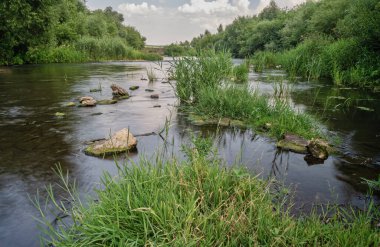 Ufuk çizgisine kadar uzanan çimen ve taşlardan oluşan bir nehir. Uzun pozlu çekim. Bankalar yemyeşil bitki örtüsüyle kaplandı. Genel bitki örtüsü, manzaralı yerler, manzaralar.