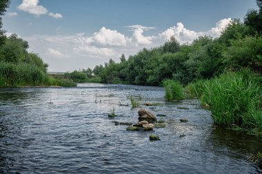 Ufuk çizgisine kadar uzanan çimen ve taşlardan oluşan bir nehir. Uzun pozlu çekim. Bankalar yemyeşil bitki örtüsüyle kaplandı. Genel bitki örtüsü, manzaralı yerler, manzaralar.