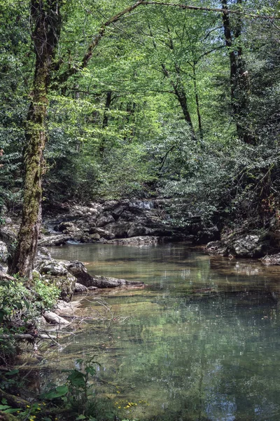 Řeka Peřejemi Horských Lesích Topící Bujné Vegetaci Národní Park Soči — Stock fotografie