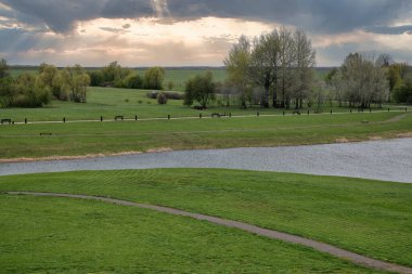 Yeşil bir arazinin panoramik görüntüsü, toprak yolları, gölet ve dağınık ağaç grupları. Kırsal park, gri bulutlu gökyüzüne karşı. Güneş ışınları süzülüyor..