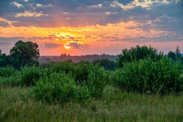 Kolorowy Wschód Słońca Wsi Nad Zielonymi Wierzchołkami Drzew Krajobraz Kolorowym — Zdjęcie stockowe