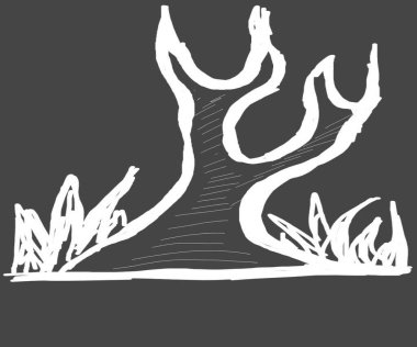 bir ağacın çizimi 