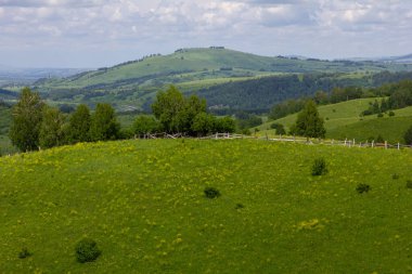 Bereketli yeşilliği olan güzel dağ manzarası