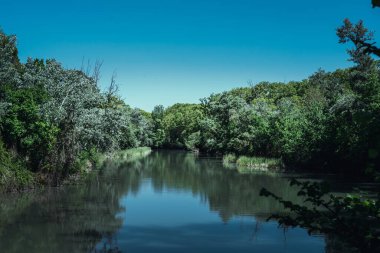 İlkbaharda bir nehir ve yeşil ağaçlı manzara