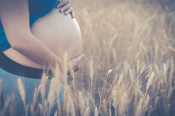 Pregnant Woman Showing Her Belly Side Wheat Field Concept Waiting — Stock Photo, Image