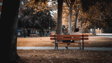 Sonbaharda parkta dinlenen tanınmamış yaşlı çift.