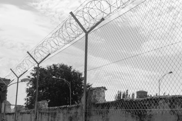 Barbed Wire Perspective Concept Prison Mobility Restriction — Photo