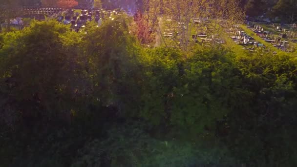 Avslöja blänkande gravstenar på en kyrkogård bakom träd under solnedgången. 4k — Stockvideo