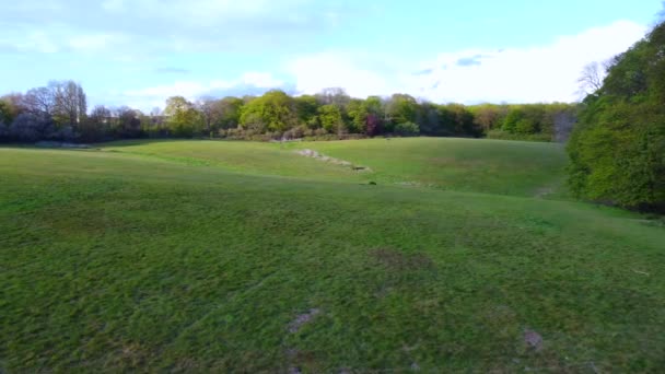 Luchtdrone schot panning over bomen om rollende velden te onthullen in gouden licht — Stockvideo