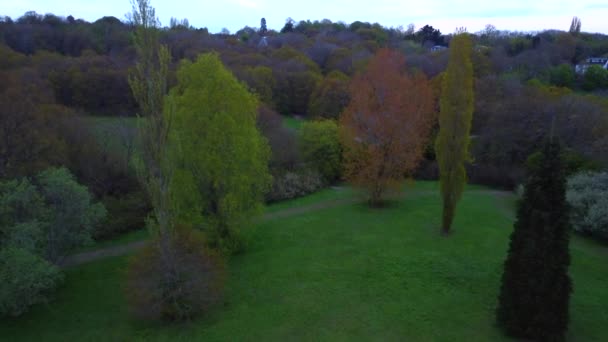 Odwrócony powietrzny strzał z drona 4k ujawniający drzewa iglaste i inne drzewa w brytyjskim parku — Wideo stockowe