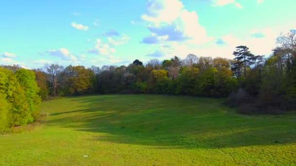 Dron lotniczy strzał powoli toczy się po otwartym polu w kierunku drzew, Epping Forest — Wideo stockowe