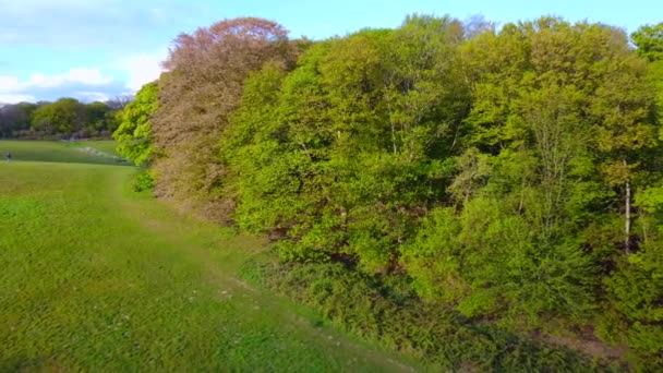 4k luchtfoto drone zijwaarts geschoten over bomen waait in de wind in Epping Forest — Stockvideo