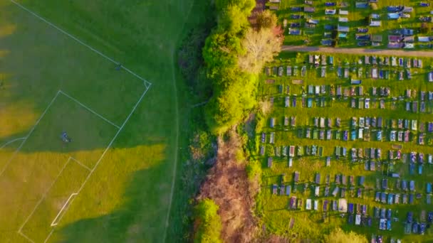 Vogelperspektive auf eine Baumreihe, die einen Friedhof und einen Basketballplatz durchschneidet — Stockvideo