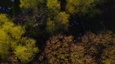 Gün batımına doğru bir mezarlığın üzerinde dönen bir orman tepe örtüsünün 4k drone görüntüsü.