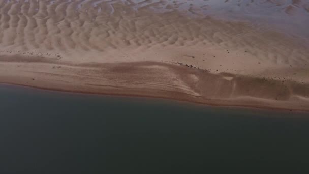 Luchtfoto van drone met patronen van water met zand aan de kust van Norfolk. — Stockvideo