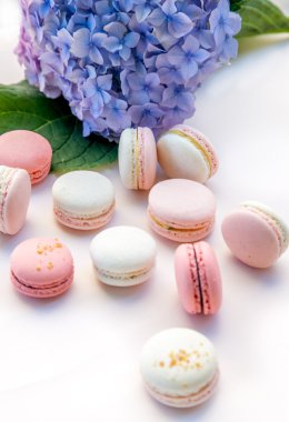  macarons ortanca çiçekleri ile