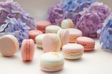 macarons ortanca çiçekleri ile