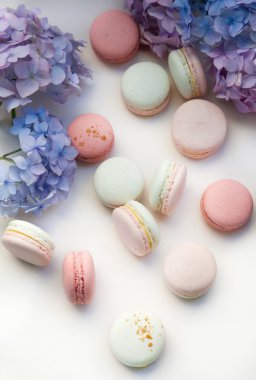  macarons ortanca çiçekleri ile