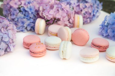  macarons ortanca çiçekleri ile