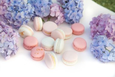  macarons ortanca çiçekleri ile
