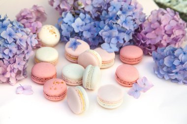  macarons ortanca çiçekleri ile
