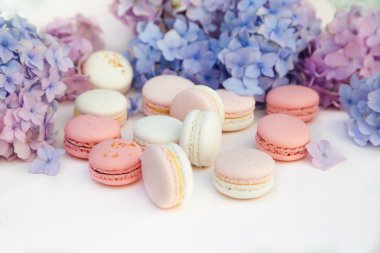  macarons ortanca çiçekleri ile