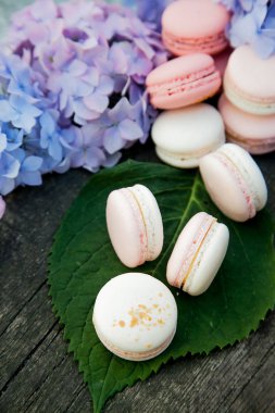 macarons ahşap arka plan üzerinde