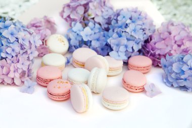  macarons ortanca çiçekleri ile