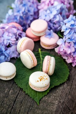 macarons ahşap arka plan üzerinde