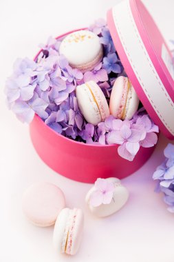 macarons kutusunda çiçekli