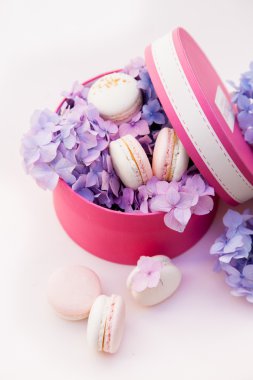macarons kutusunda çiçekli