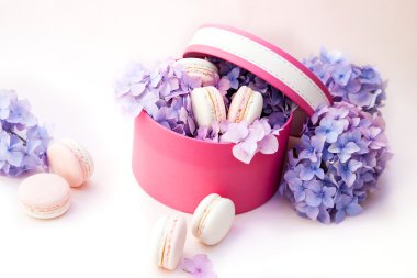 macarons kutusunda çiçekli