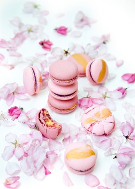 Kiraz çiçeği ile pembe macarons