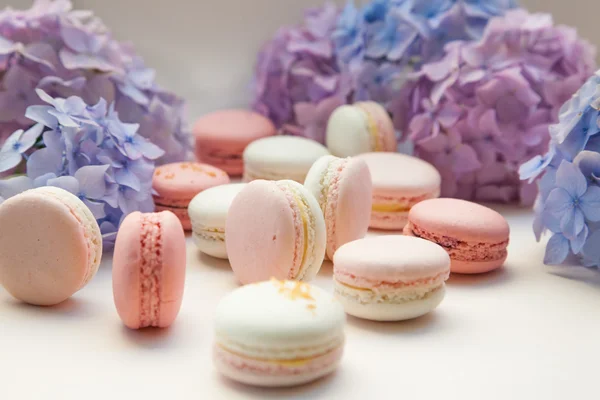 Macarrones con flores de hortensias — Foto de Stock